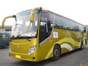 圖 客車 從濮陽(yáng)到珠海直達(dá)汽車 發(fā)車時(shí)刻表 多久能到 多少錢 廣州租車