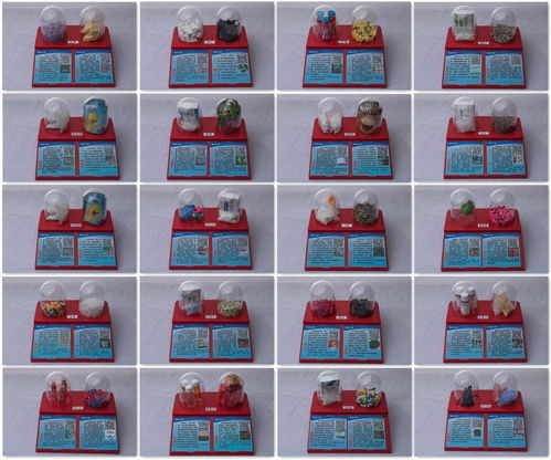 深化禁毒教育 仿真模型與教學(xué)教具在毒品預(yù)防宣傳中的關(guān)鍵作用